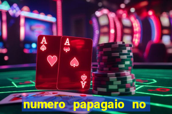 numero papagaio no jogo do bicho
